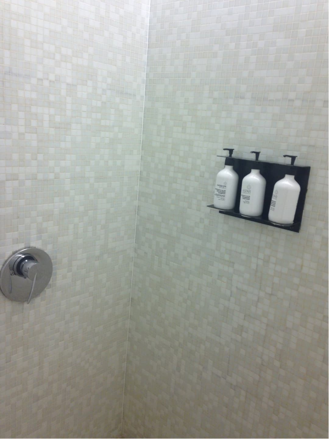 Qantas Airways International Business Lounge view 12