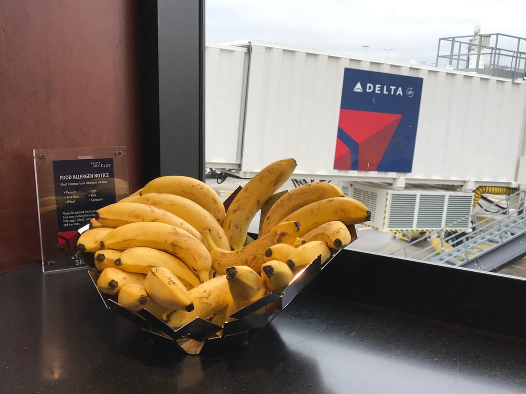 Delta Air Lines Delta Sky Club (Gate D12) view 29