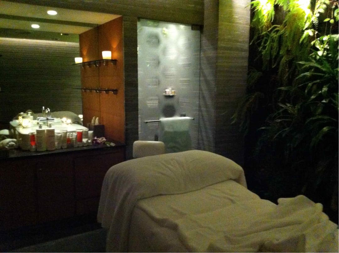 Qantas Airways International First Lounge view 2