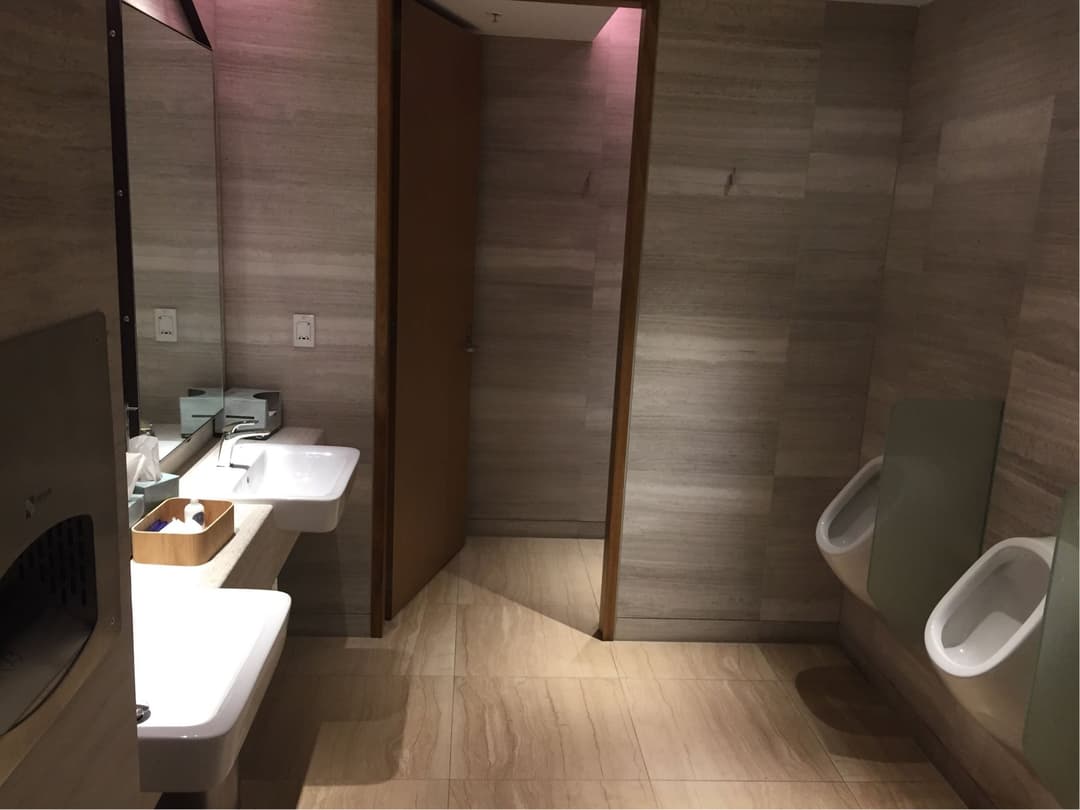 Singapore Airlines SilverKris First Class Lounge view 11