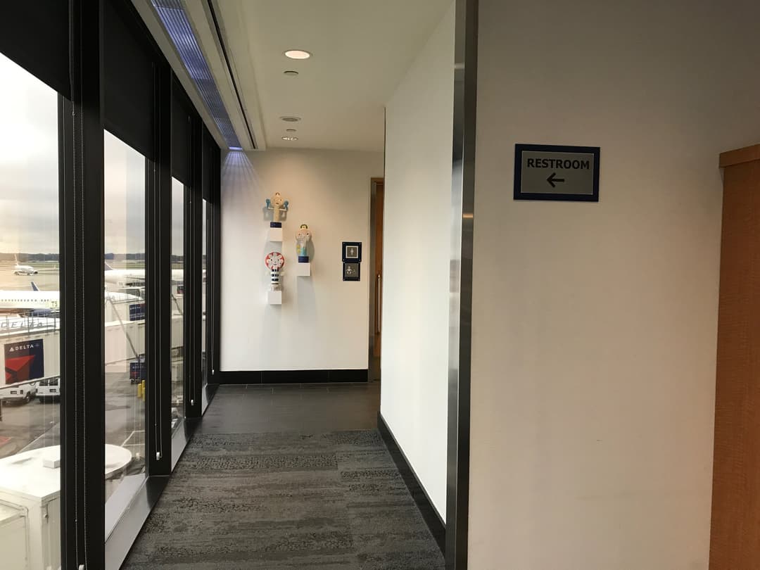 Delta Air Lines Delta Sky Club view 14