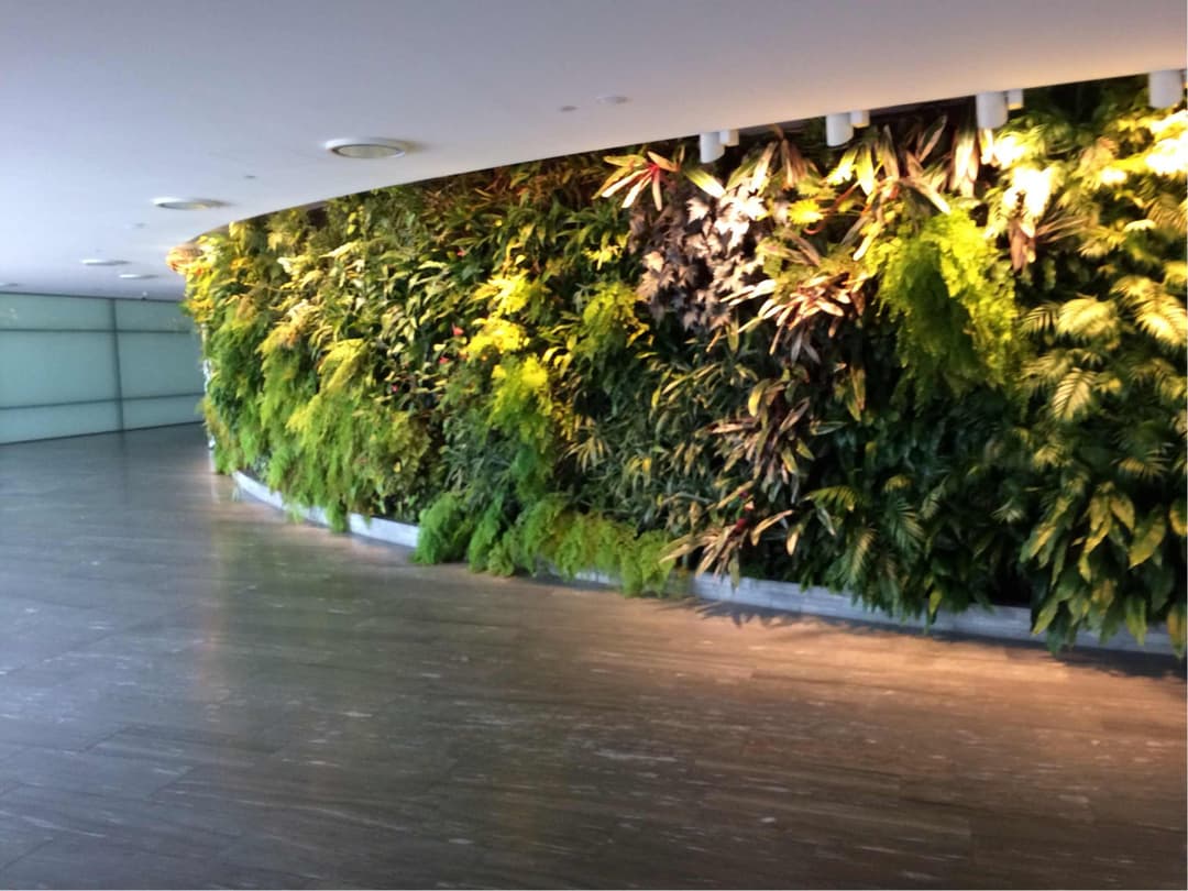 Qantas Airways International First Lounge view 6