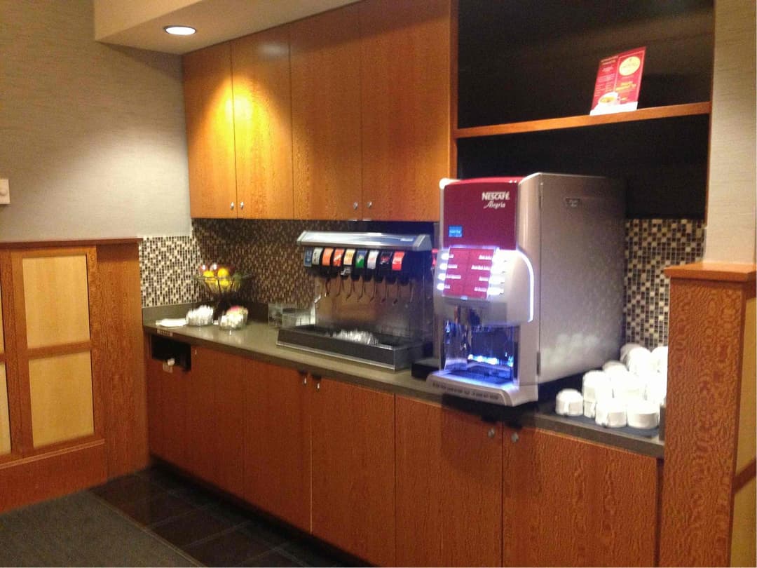 American Airlines Admirals Club view 1