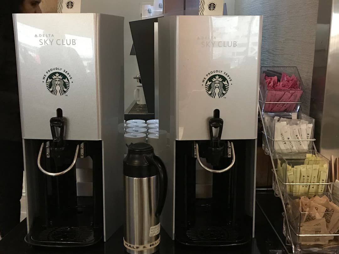 Delta Air Lines Delta Sky Club view 16