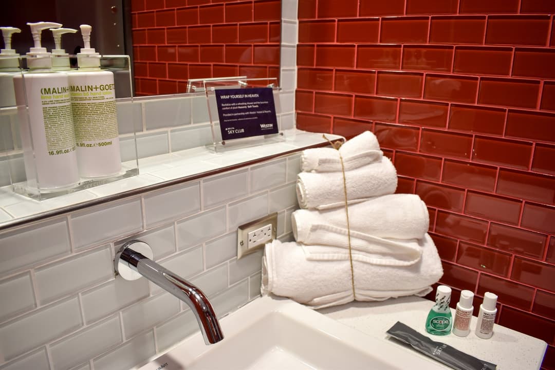 Delta Air Lines Delta Sky Club view 38