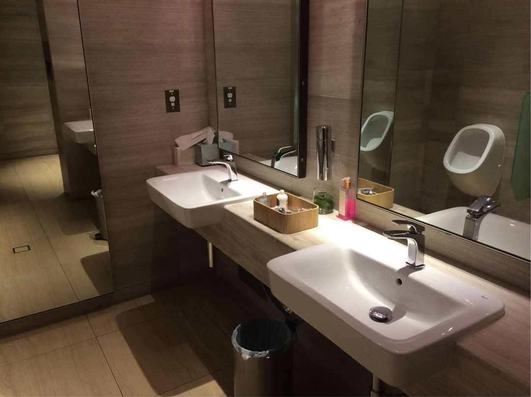 Singapore Airlines SilverKris Business Class Lounge view 19