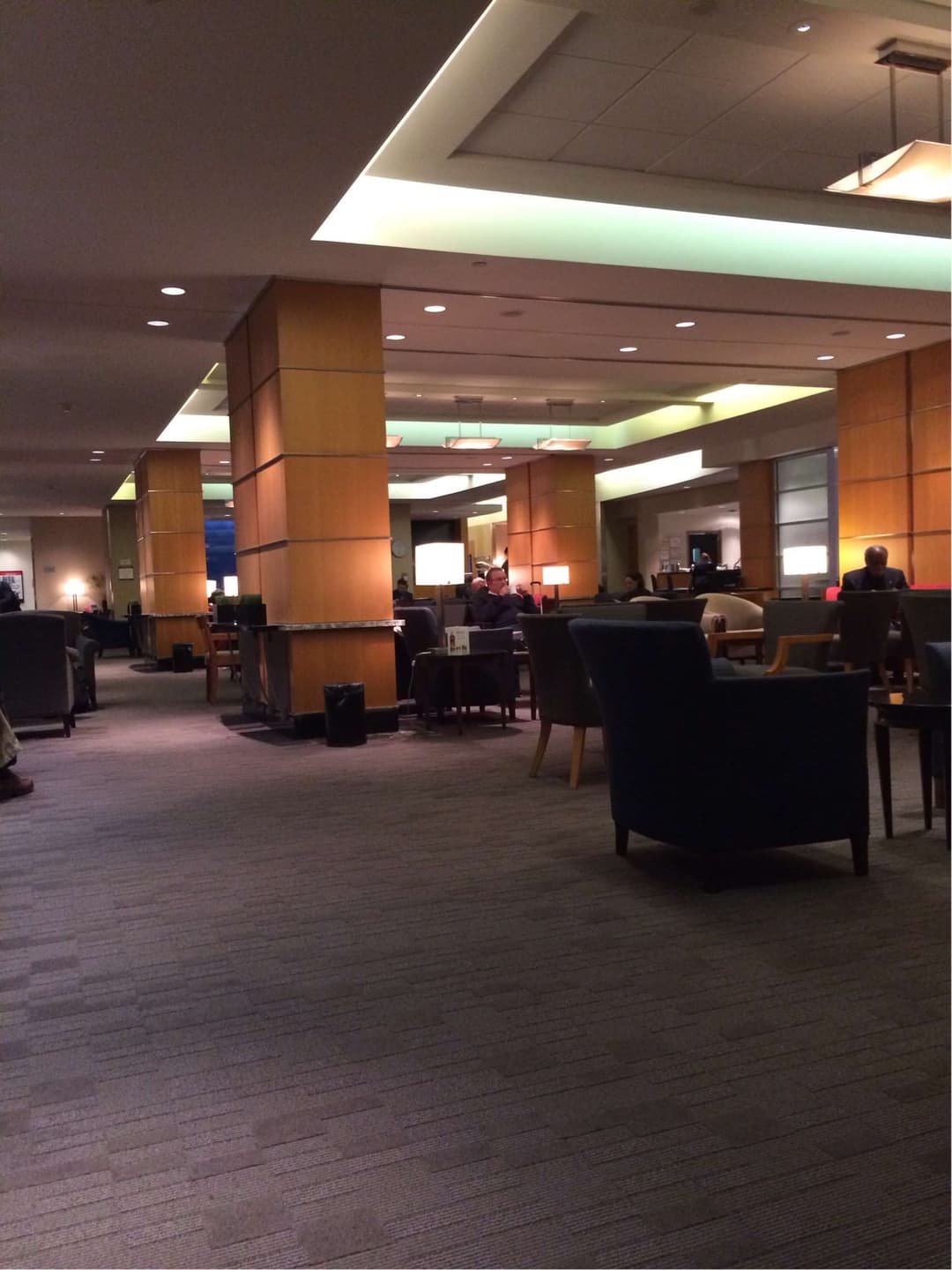 Delta Air Lines Delta Sky Club view 9