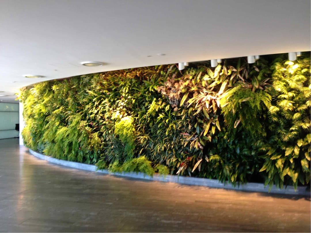 Qantas Airways International First Lounge view 3