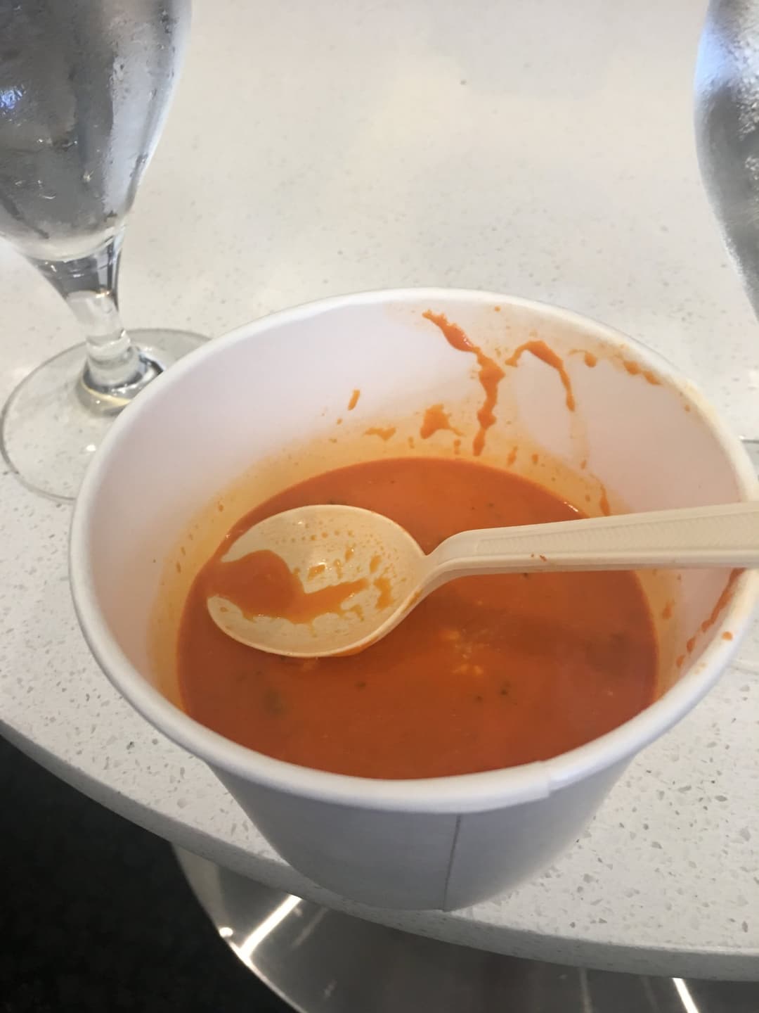 Delta Air Lines Delta Sky Club (Gate D12) view 10