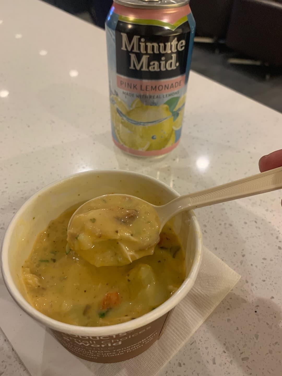 Delta Air Lines Delta Sky Club view 15